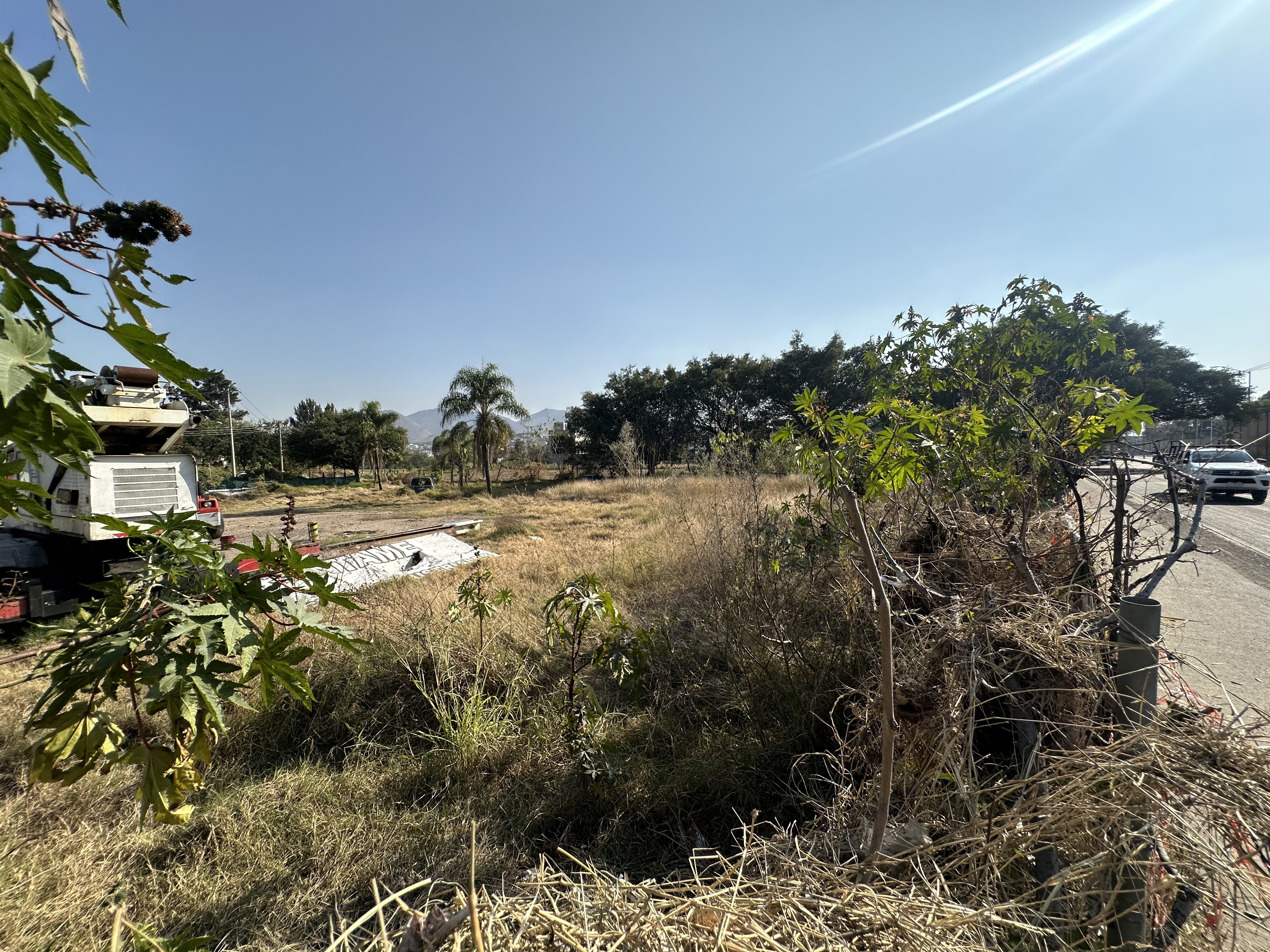 Terreno en renta Av. Camino Real a Colima en SAN AGUSTIN, Tlajomulco de Zúñiga - foto 6 de 9