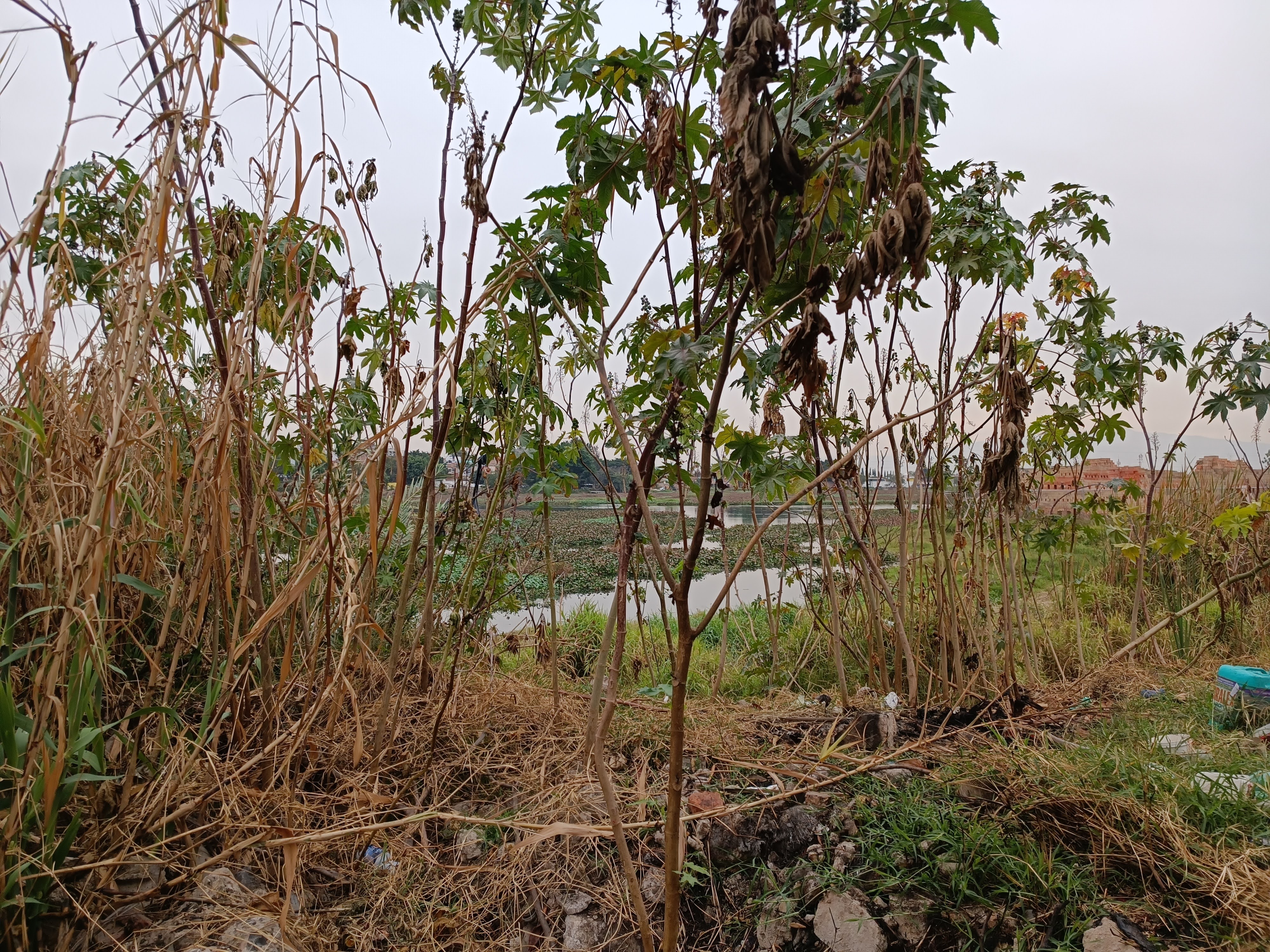 Terreno en venta a 500m de Anillo Períferico Sur en LA LADRILLERA, San Pedro Tlaquepaque - foto 14 de 14