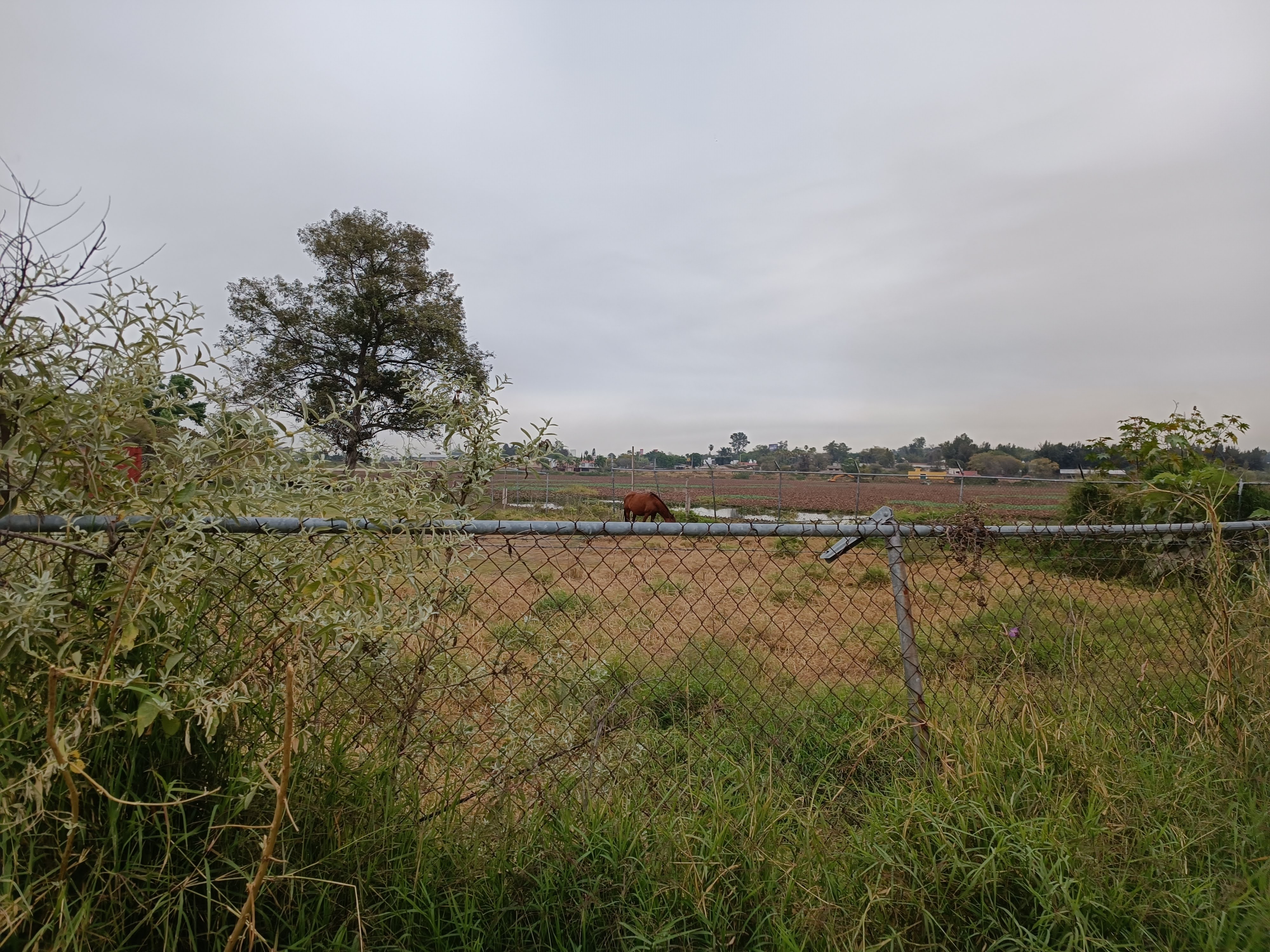 Terreno en venta a 500m de Anillo Períferico Sur en LA LADRILLERA, San Pedro Tlaquepaque - foto 13 de 14