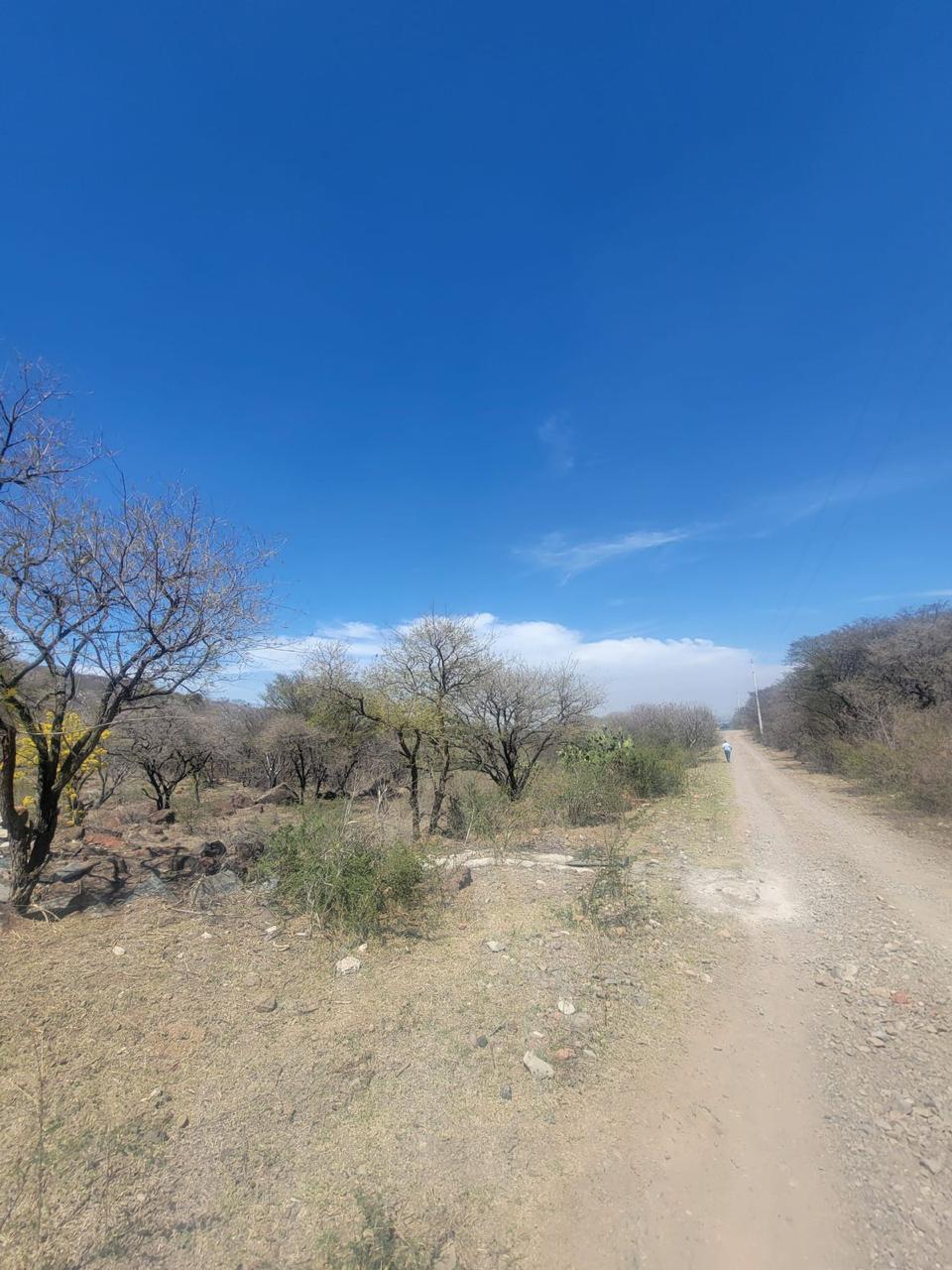 Terreno en Venta  en El Zapote del Valle, Tlajomulco de Zúñiga - foto 9 de 21