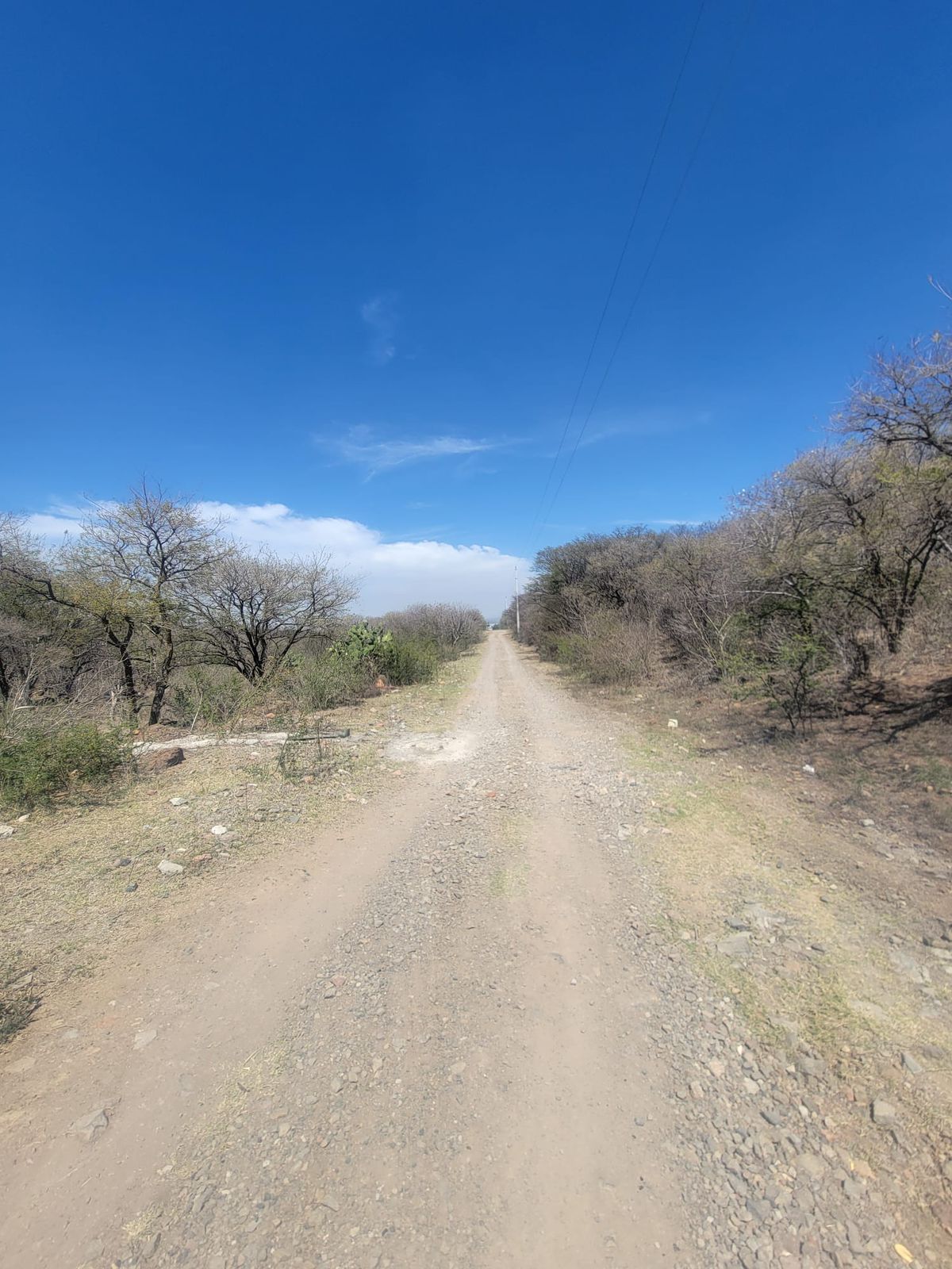 Terreno en Venta  en El Zapote del Valle, Tlajomulco de Zúñiga - foto 6 de 21