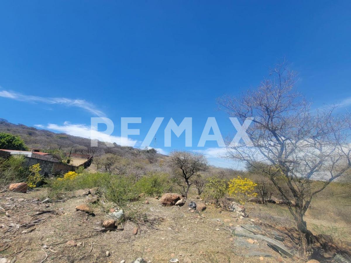 Terreno en Venta 