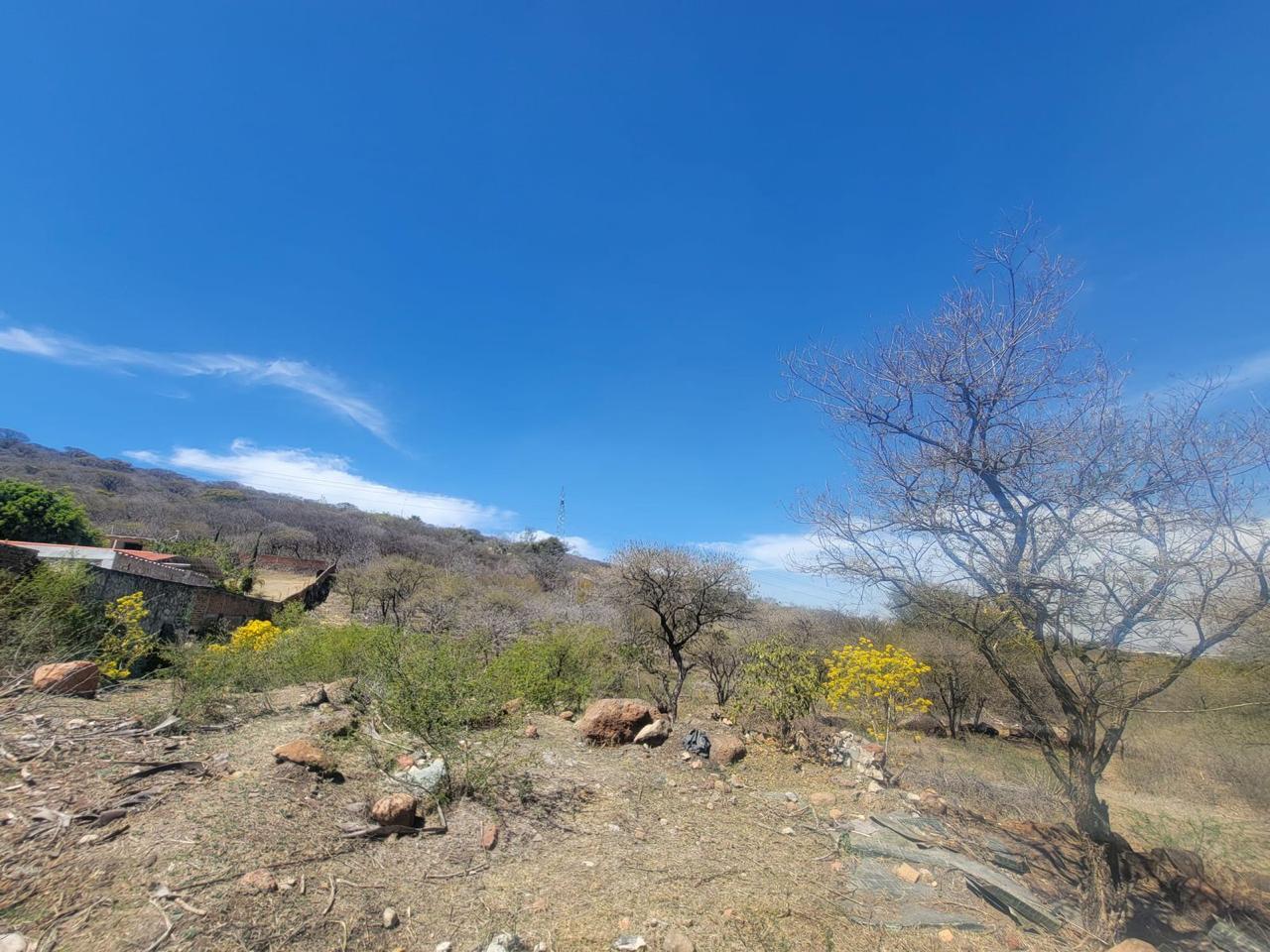 Terreno en Venta  en El Zapote del Valle, Tlajomulco de Zúñiga - foto 18 de 21