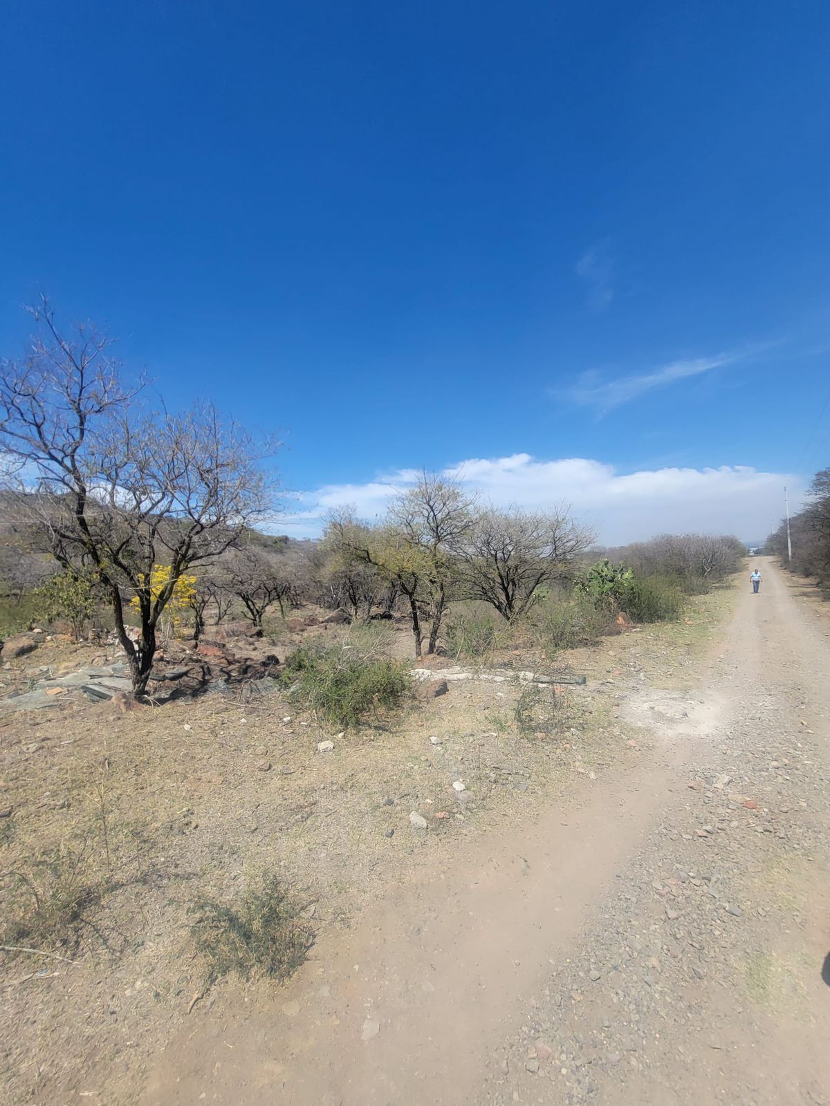 Terreno en Venta  en El Zapote del Valle, Tlajomulco de Zúñiga - foto 7 de 21