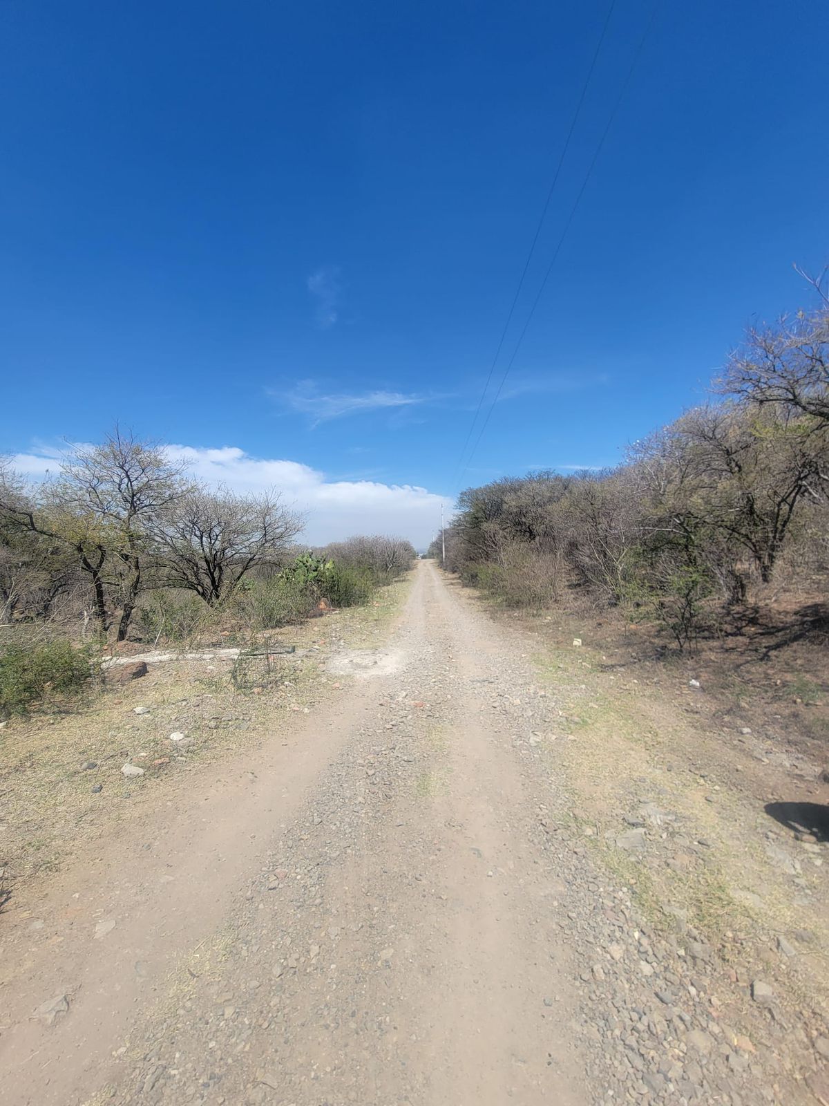 Terreno en Venta  en El Zapote del Valle, Tlajomulco de Zúñiga - foto 8 de 21