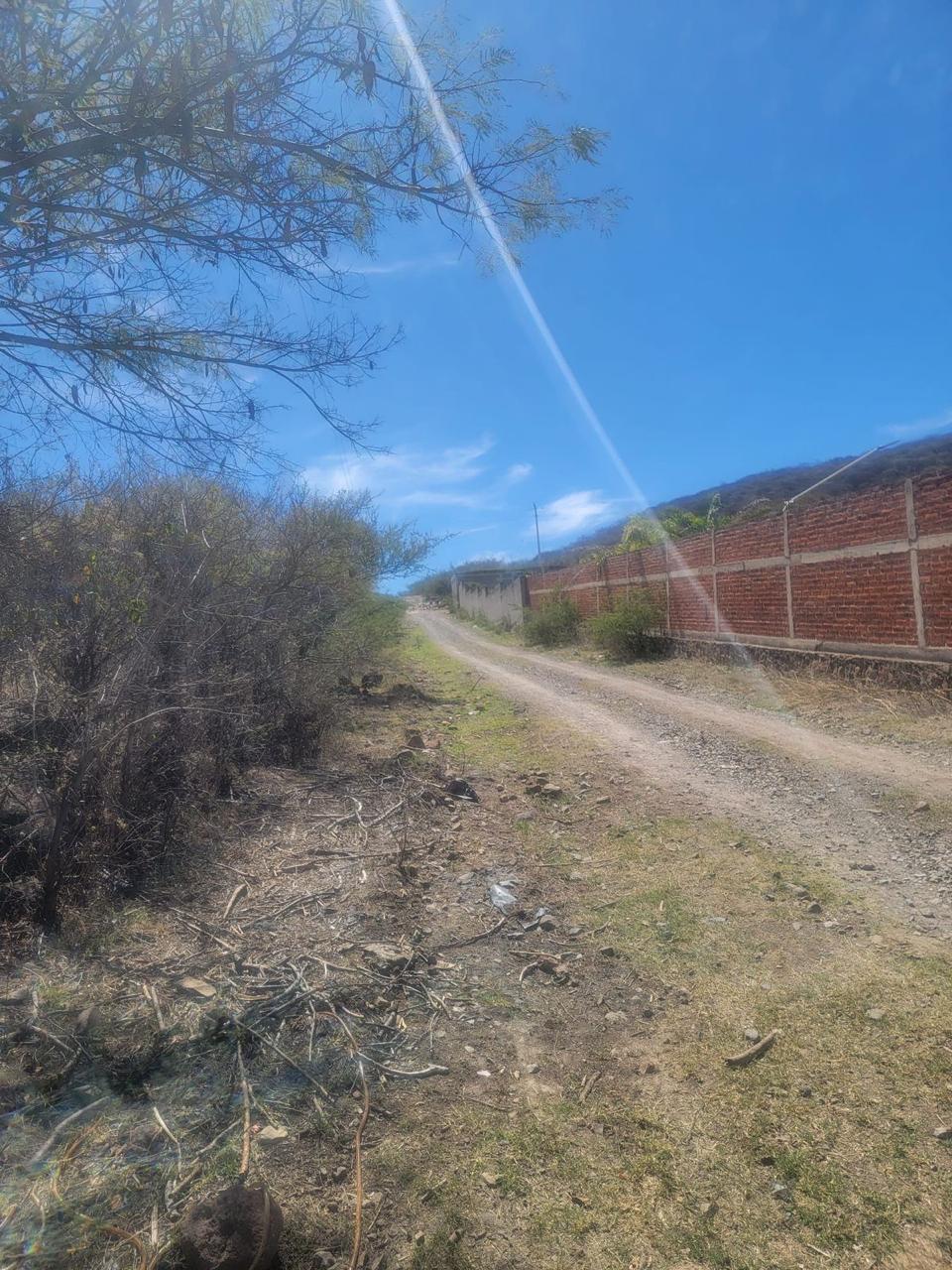 Terreno en Venta  en El Zapote del Valle, Tlajomulco de Zúñiga - foto 17 de 21