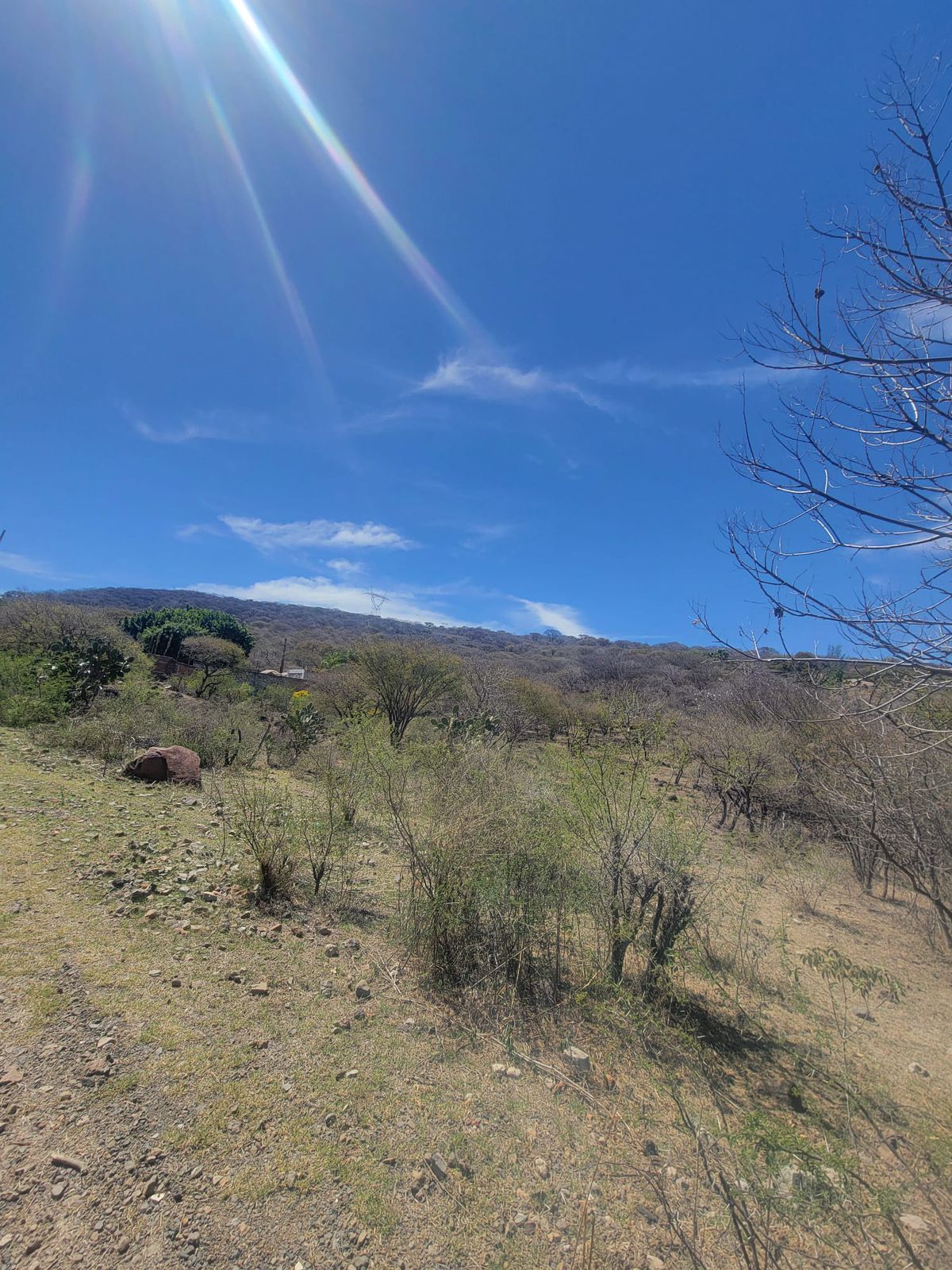 Terreno en Venta  en El Zapote del Valle, Tlajomulco de Zúñiga - foto 4 de 21