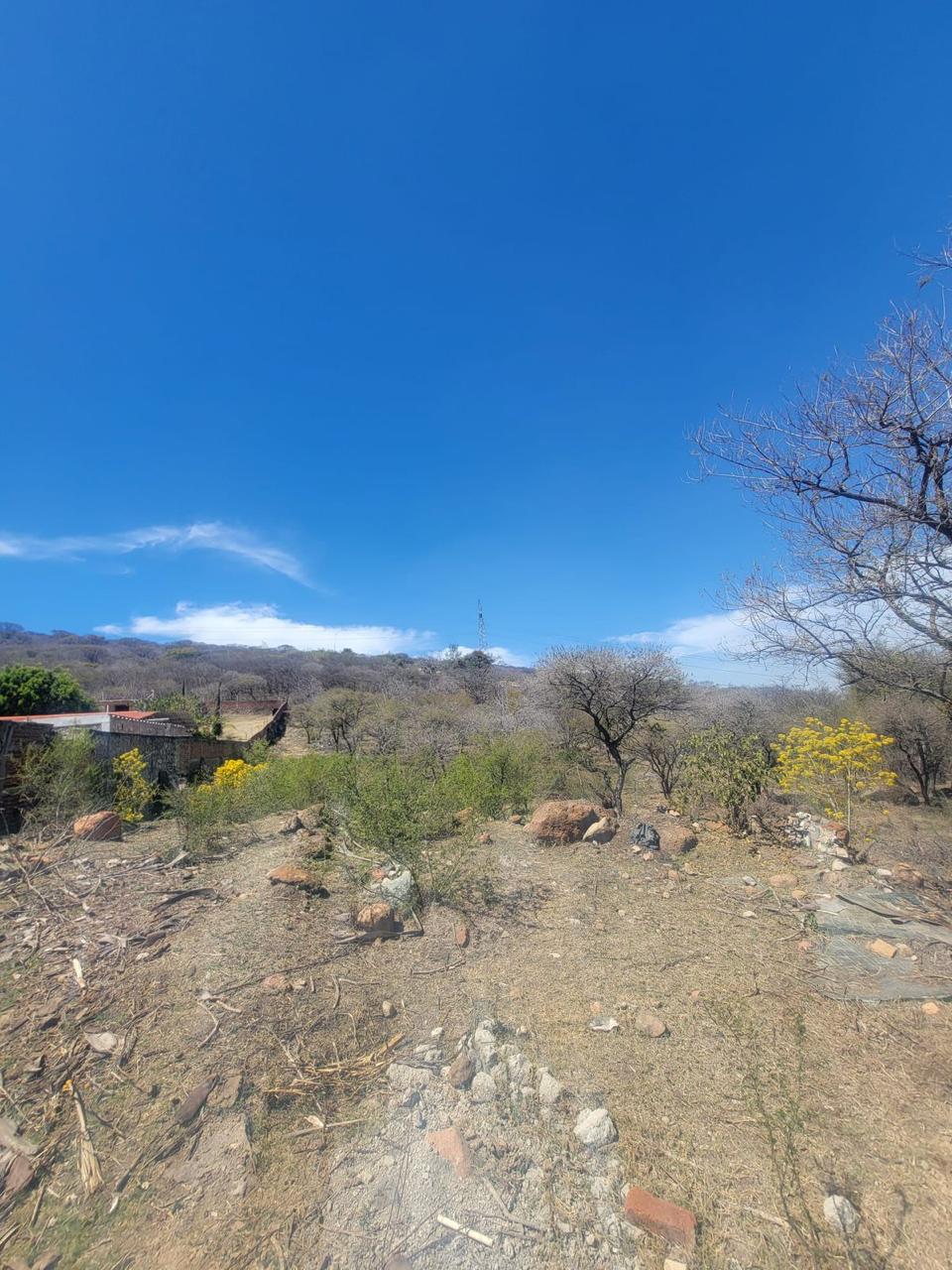 Terreno en Venta  en El Zapote del Valle, Tlajomulco de Zúñiga - foto 15 de 21