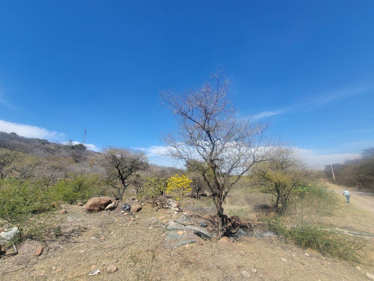 Terreno en Venta  en El Zapote del Valle, Tlajomulco de Zúñiga - foto 10 de 21