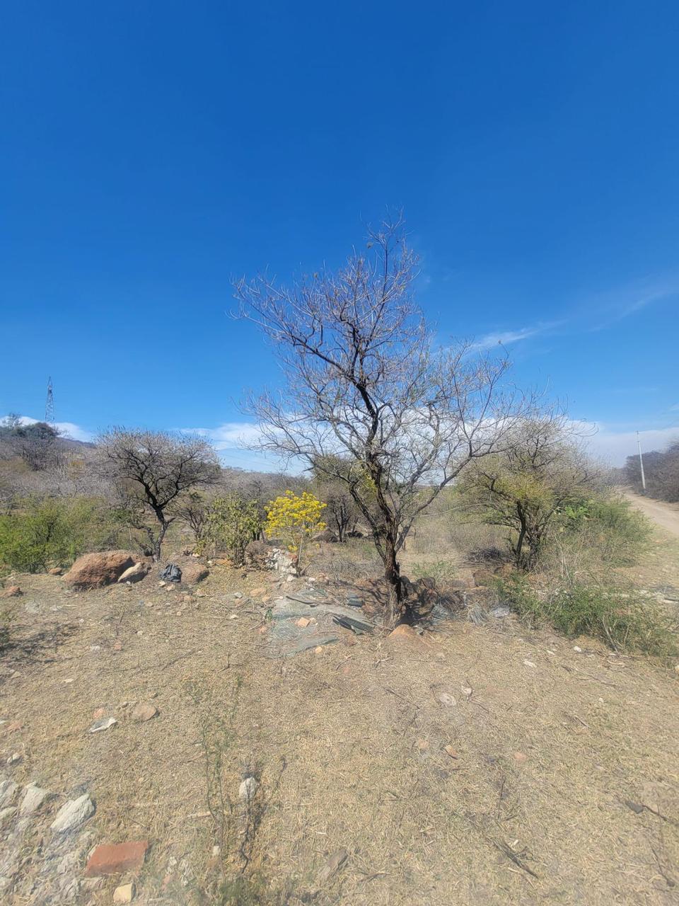 Terreno en Venta  en El Zapote del Valle, Tlajomulco de Zúñiga - foto 13 de 21