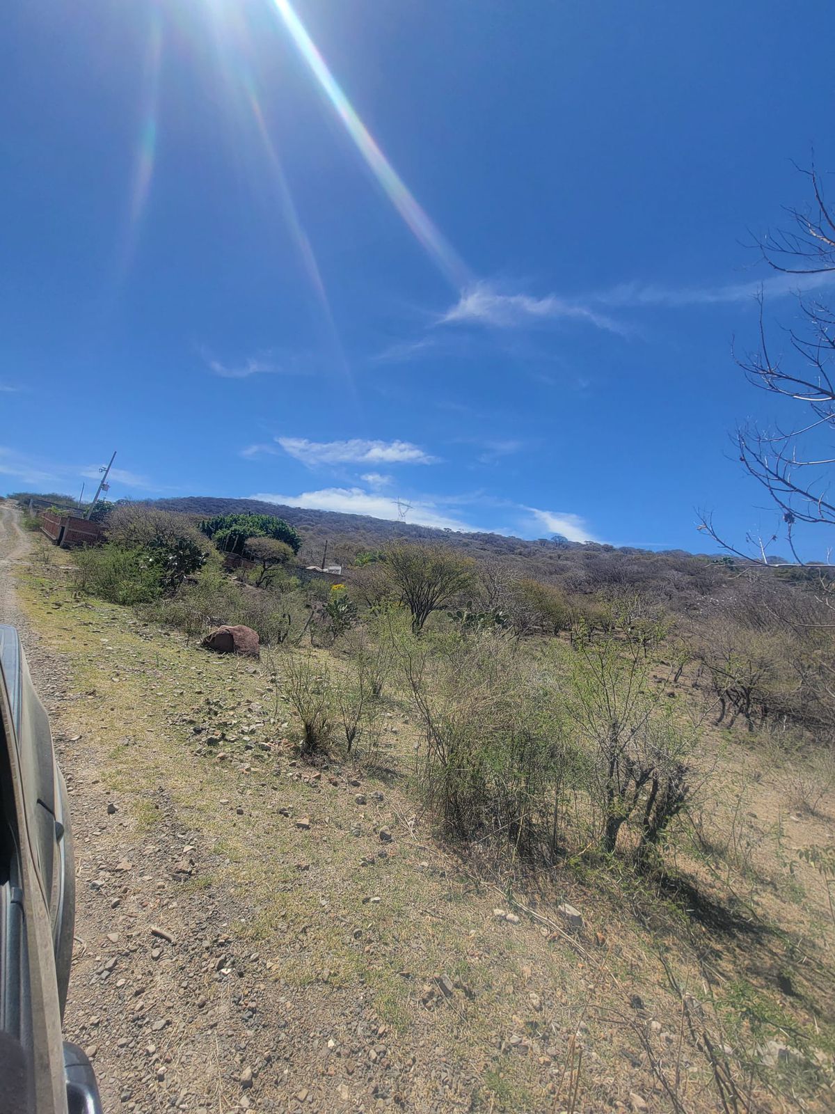 Terreno en Venta  en El Zapote del Valle, Tlajomulco de Zúñiga - foto 5 de 21