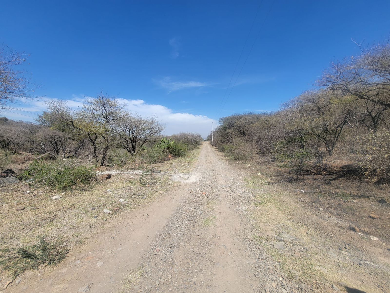 Terreno en Venta  en El Zapote del Valle, Tlajomulco de Zúñiga - foto 14 de 21