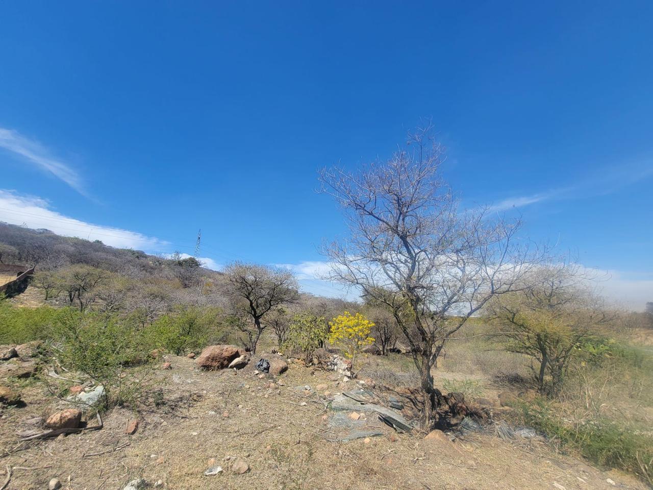 Terreno en Venta  en El Zapote del Valle, Tlajomulco de Zúñiga - foto 11 de 21