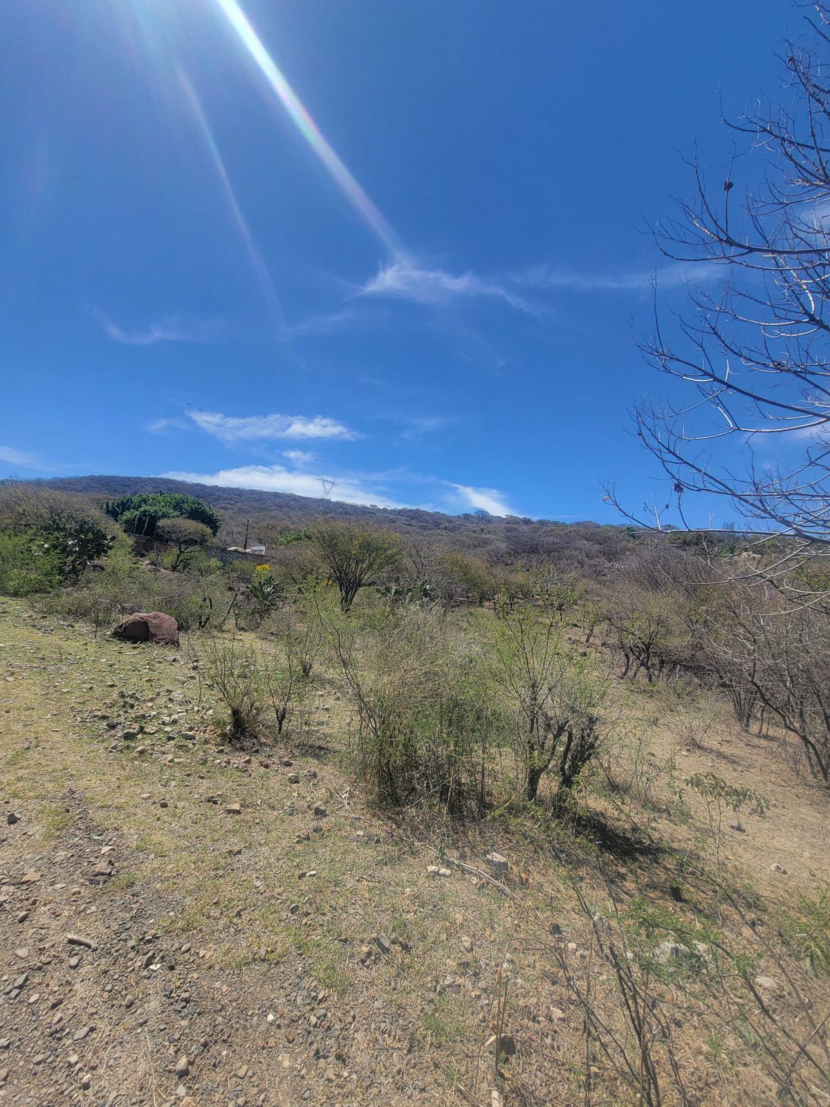 Terreno en Venta  en El Zapote del Valle, Tlajomulco de Zúñiga - foto 3 de 21