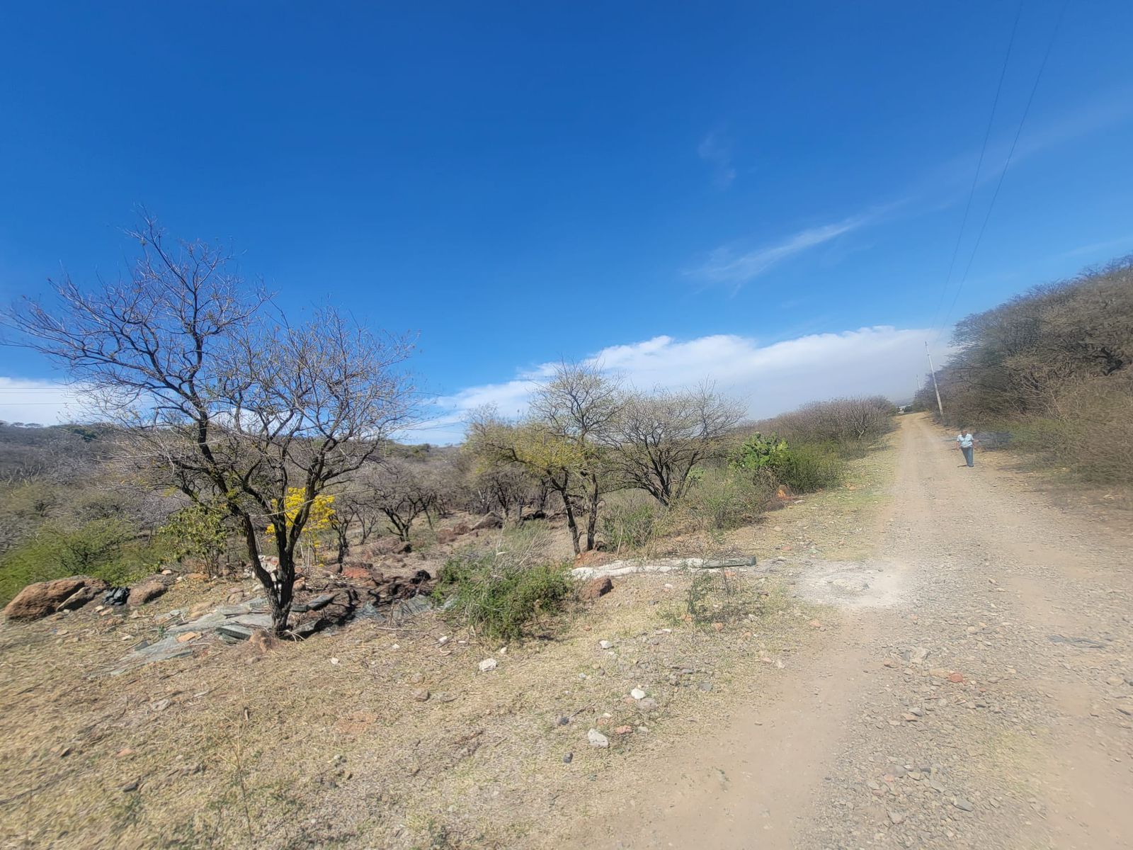 Terreno en Venta  en El Zapote del Valle, Tlajomulco de Zúñiga - foto 2 de 21