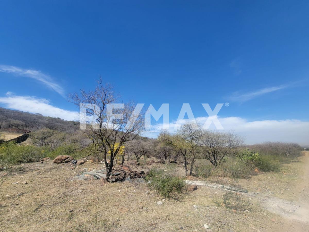 Terreno en Venta