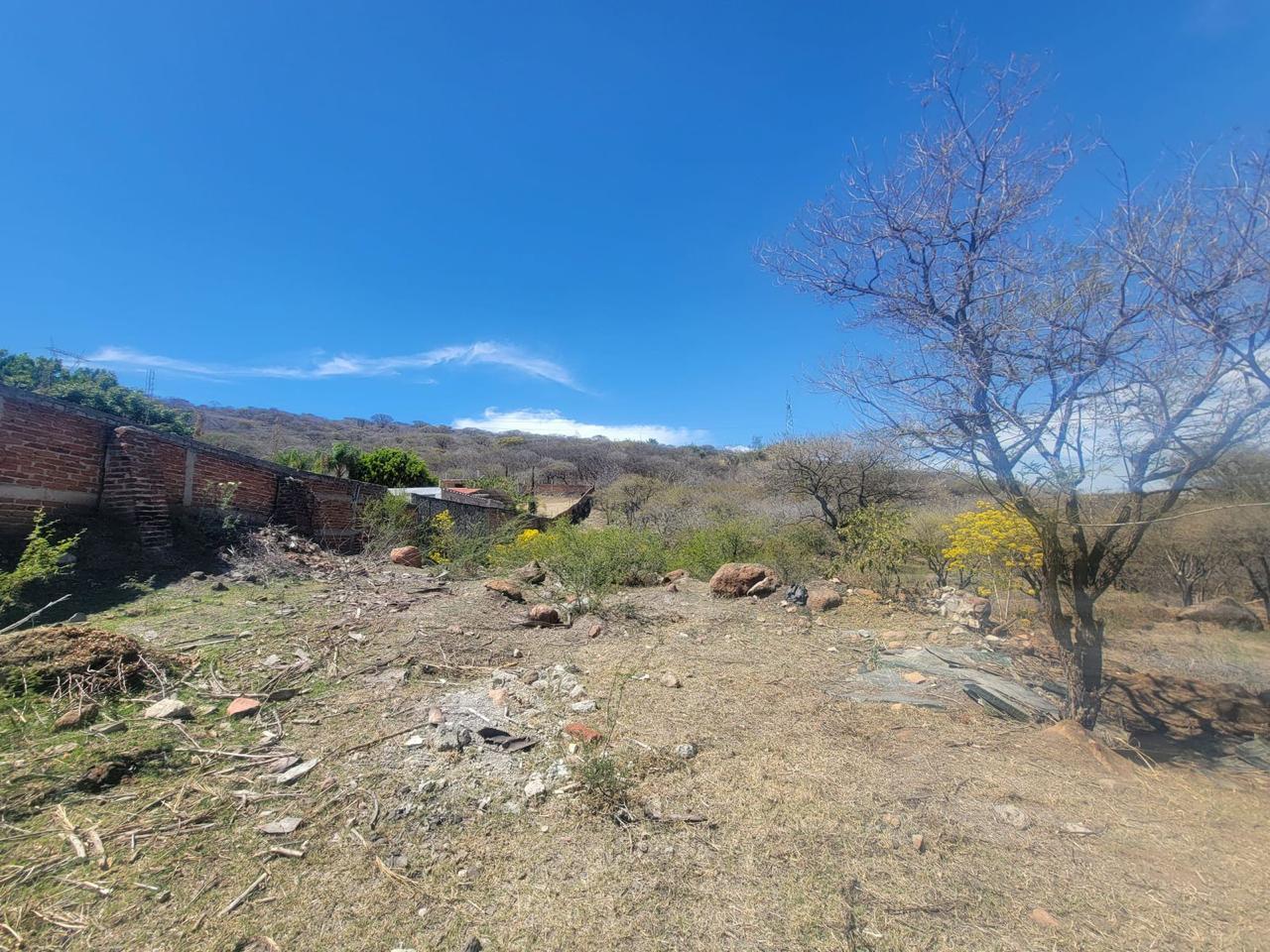 Terreno en Venta  en El Zapote del Valle, Tlajomulco de Zúñiga - foto 19 de 21