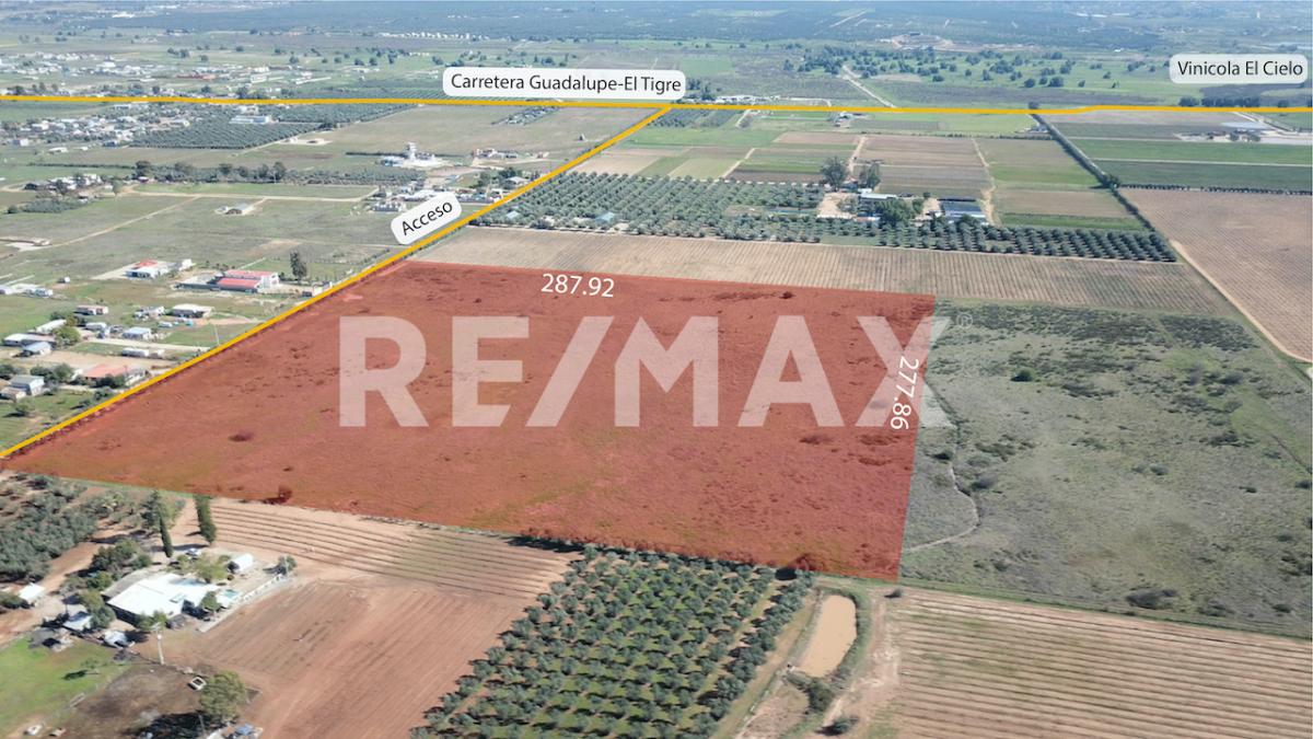 Se Vende Terreno en el Valle de Guadalupe.