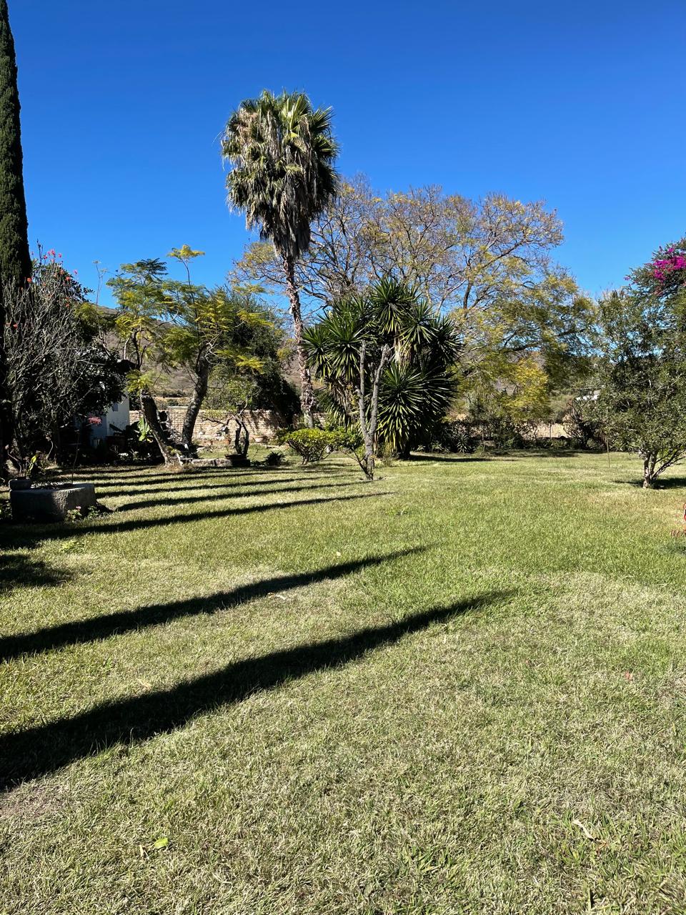 Casa en Venta en Jocotepec en San Pedro Tesistán, Jocotepec - foto 22 de 25