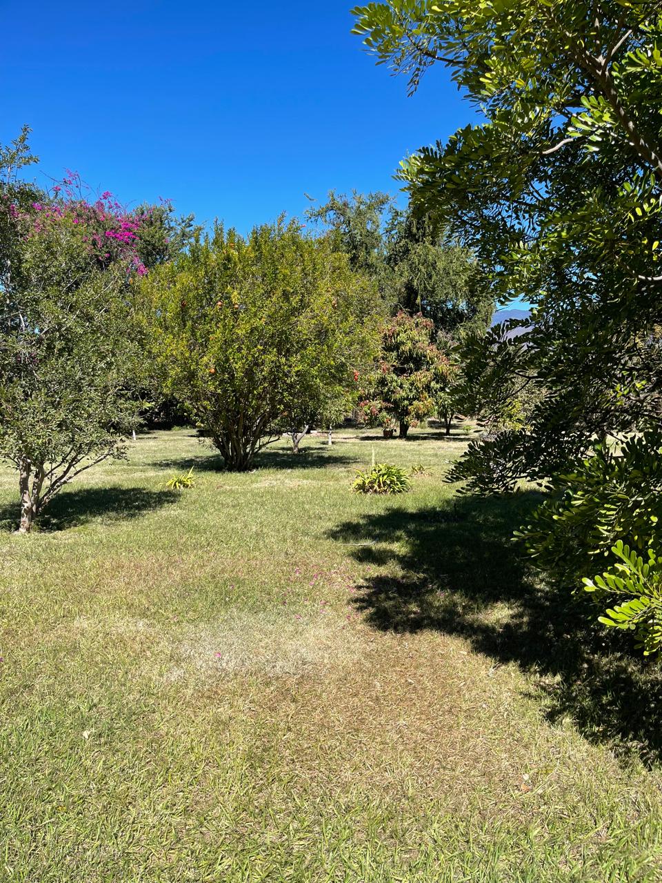 Casa en Venta en Jocotepec en San Pedro Tesistán, Jocotepec - foto 25 de 25