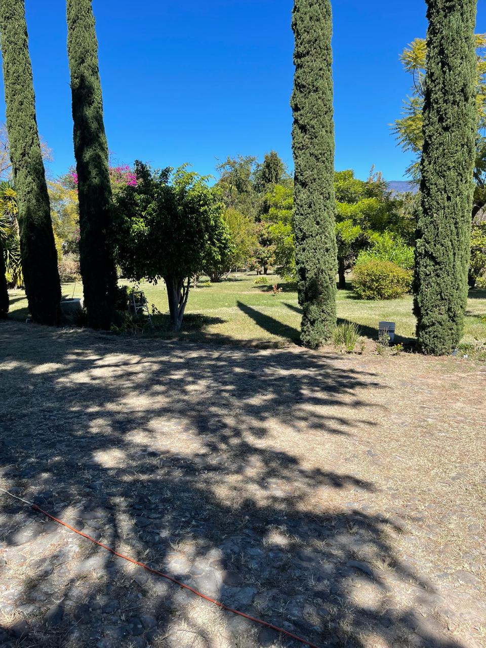 Casa en Venta en Jocotepec en San Pedro Tesistán, Jocotepec - foto 21 de 25