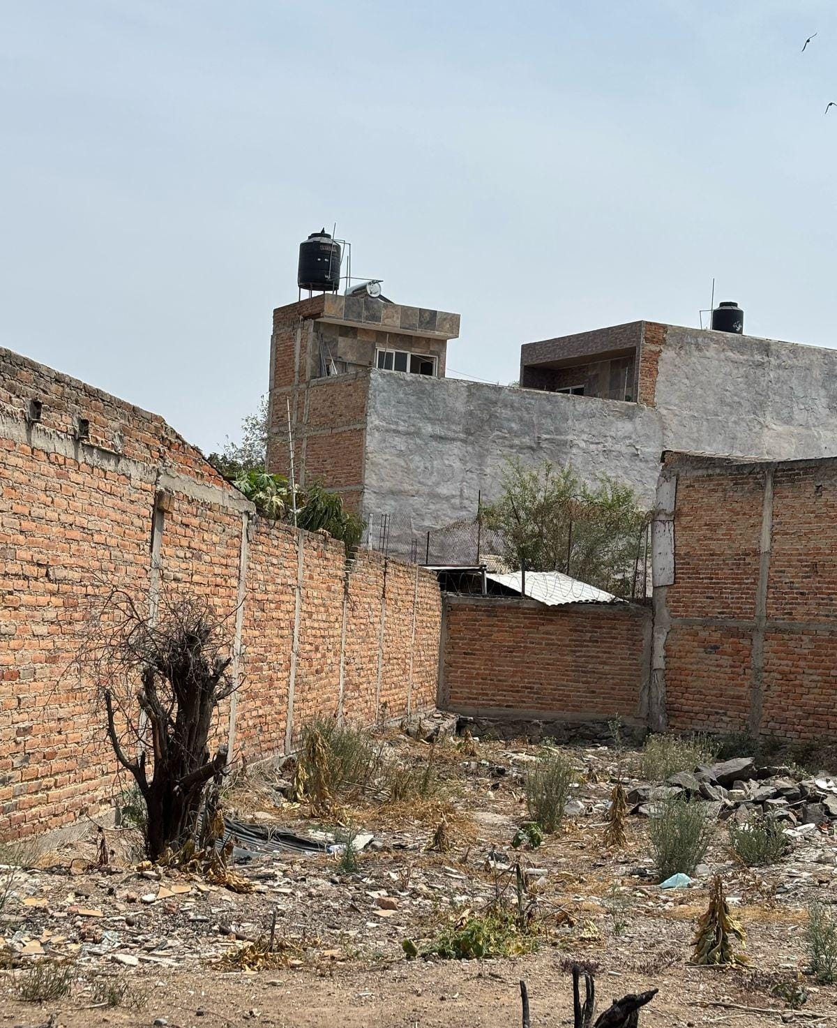 Terreno en Venta  en Santa Mónica de los Chorritos, Zapopan - foto 3 de 6