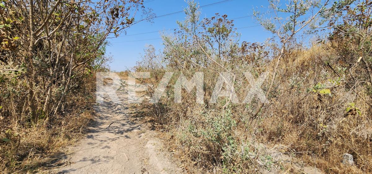 Terreno en Venta en Ahuisculco 4 has en AHUISCULCO, Tala - foto 7 de 8