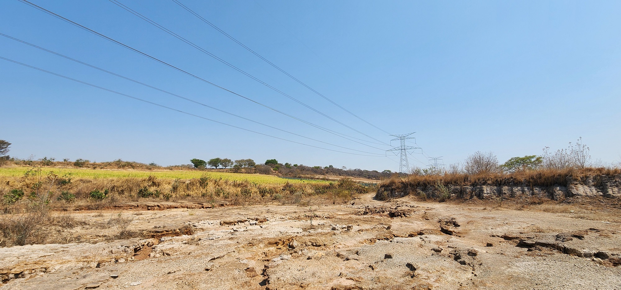Terreno en Venta en Ahuisculco 4 has en AHUISCULCO, Tala - foto 4 de 8