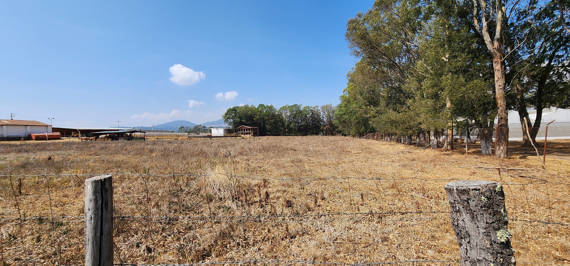 Terreno en Tapalpa en SAN ANTONIO, Tapalpa - foto 4 de 12