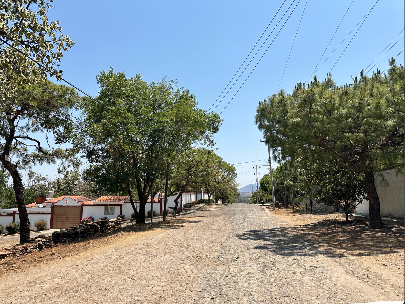 Terreno en Venta en Huaxtla, El Arenal - foto 3 de 5