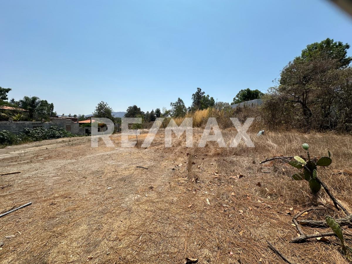 Terreno en Venta