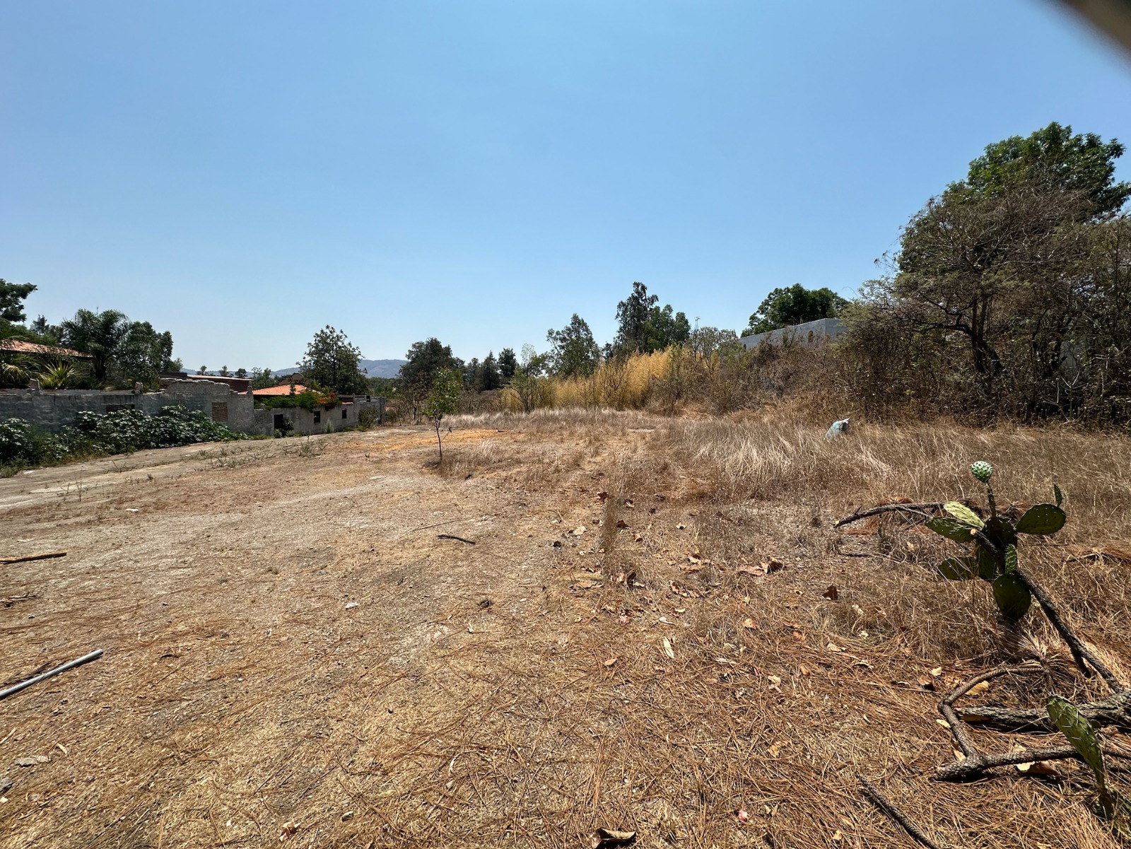 Terreno en Venta en Huaxtla, El Arenal - foto 4 de 5