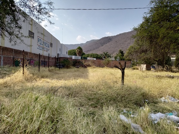 Terreno en Renta en Tlajomulco de Zuñiga  en Tlajomulco Centro, Tlajomulco de Zúñiga - foto 4 de 15
