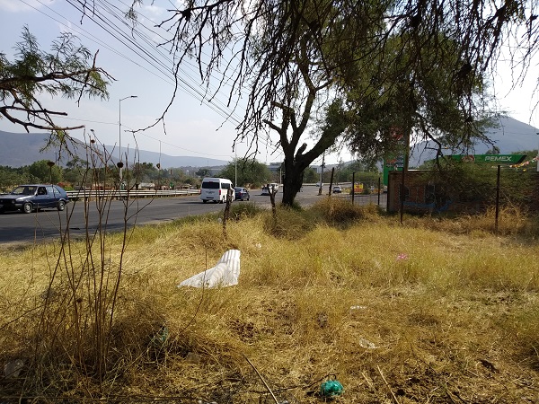 Terreno en Renta en Tlajomulco de Zuñiga  en Tlajomulco Centro, Tlajomulco de Zúñiga - foto 13 de 15