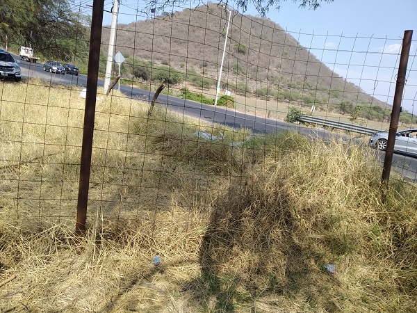 Terreno en Renta en Tlajomulco de Zuñiga  en Tlajomulco Centro, Tlajomulco de Zúñiga - foto 10 de 15