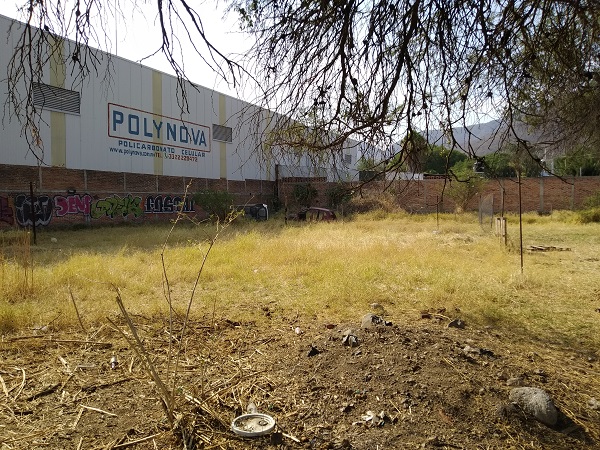 Terreno en Renta en Tlajomulco de Zuñiga  en Tlajomulco Centro, Tlajomulco de Zúñiga - foto 12 de 15