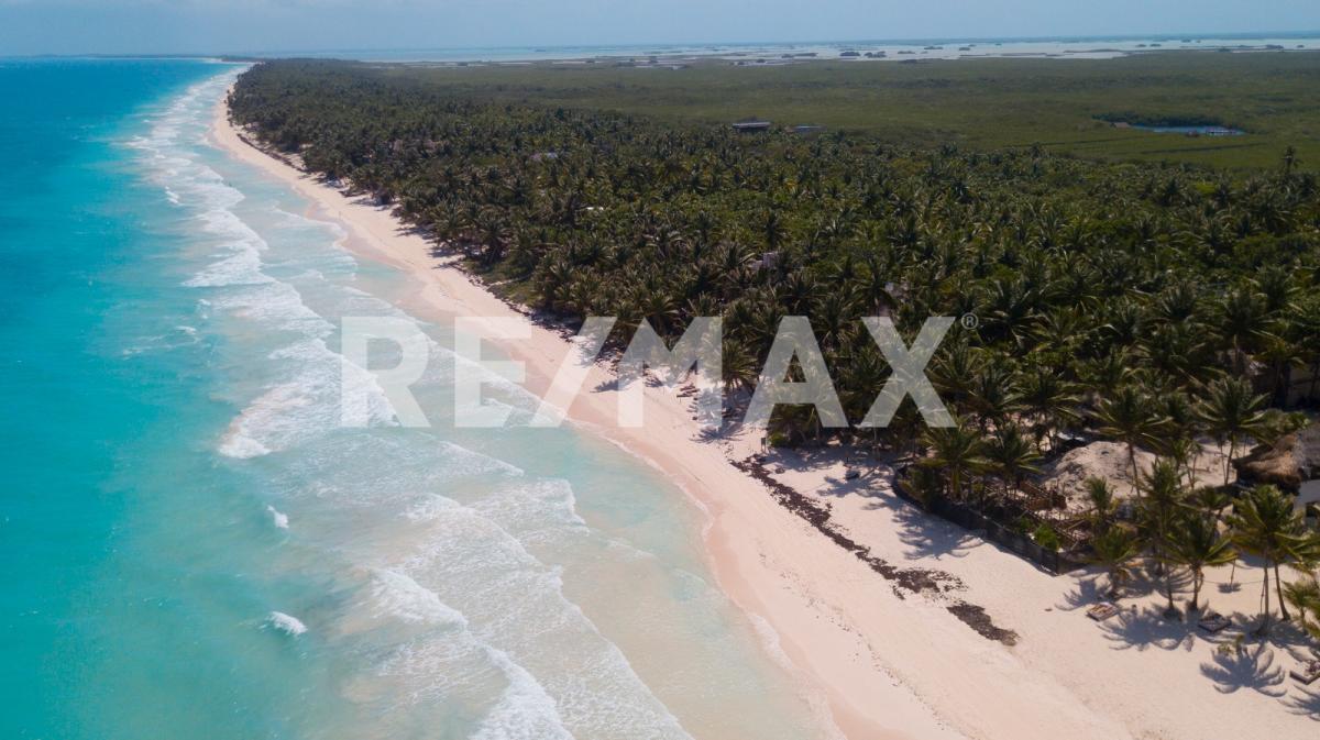 Beachfront Land For Sale in Tulum - (34)