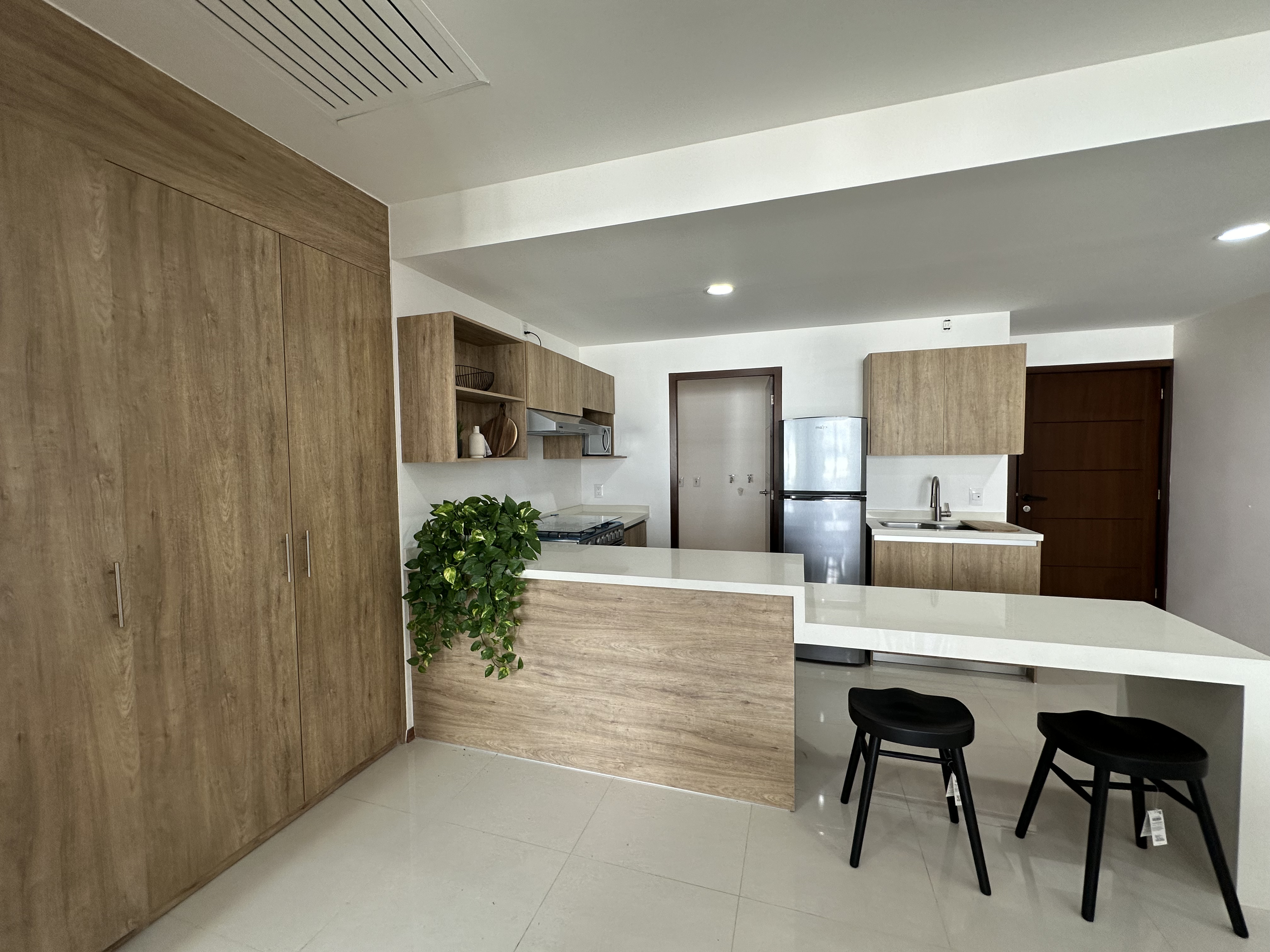 Departamento en Venta Aqua en Villa Panamericana, Zapopan - foto 7 de 34