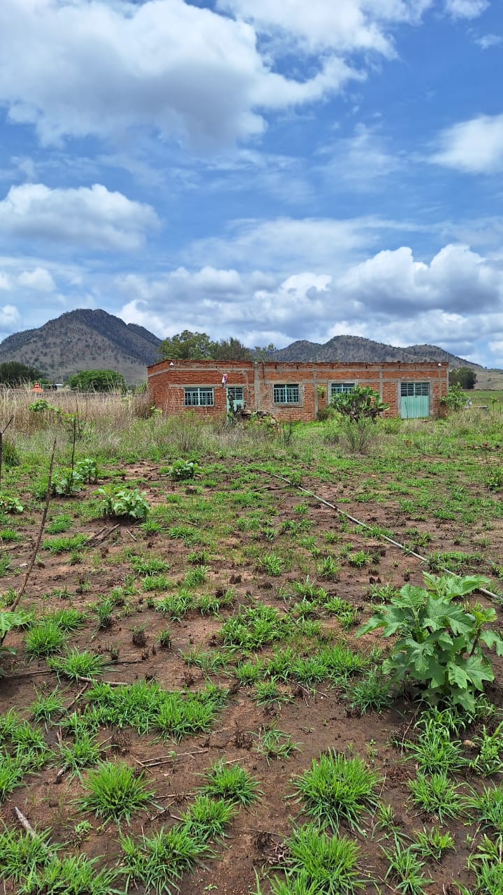 Terreno en Venta en Hacienda Cópala, Zapopan - foto 16 de 17