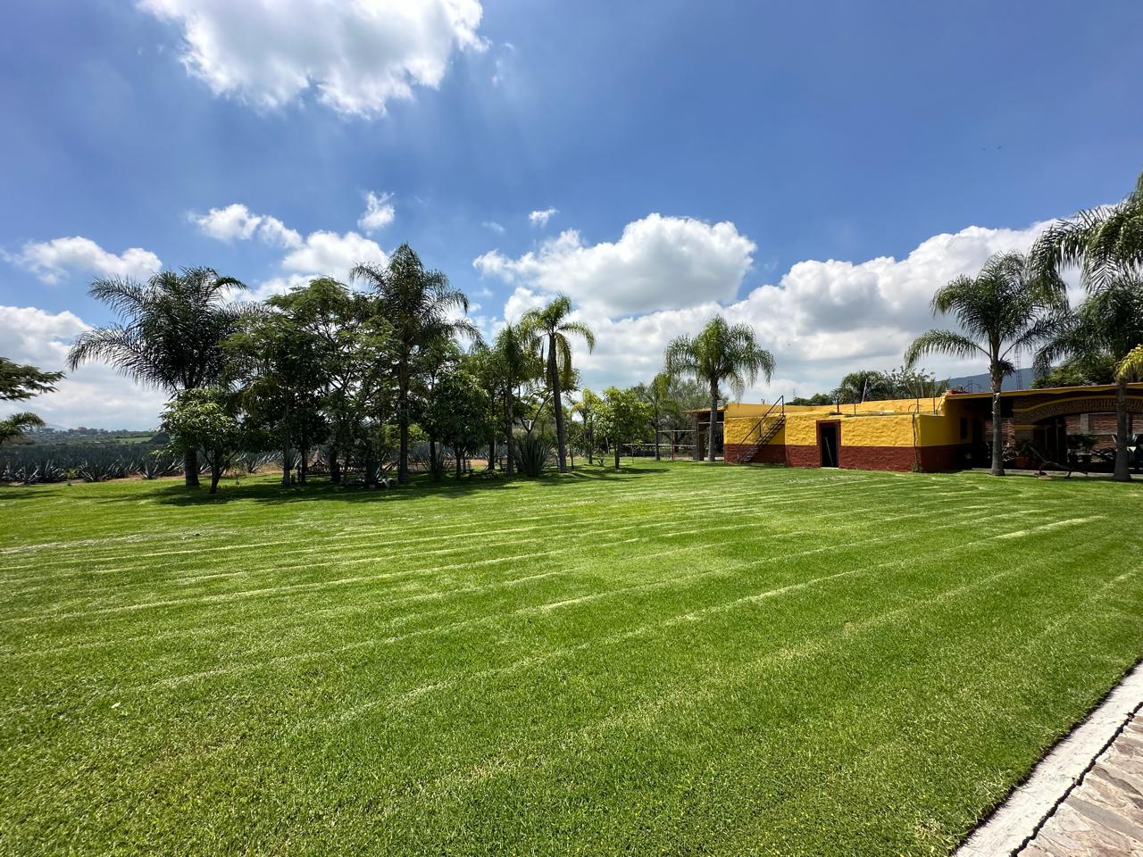 Terreno en venta Ixtlahuacán de los Membrillos en BUENAVISTA, Ixtlahuacán de los Membrillos - foto 9 de 9