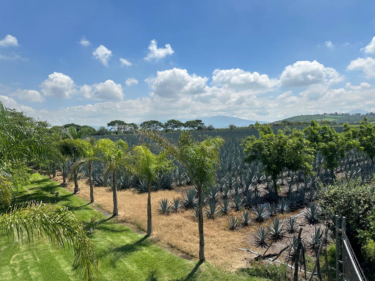 Terreno en venta Ixtlahuacán de los Membrillos
