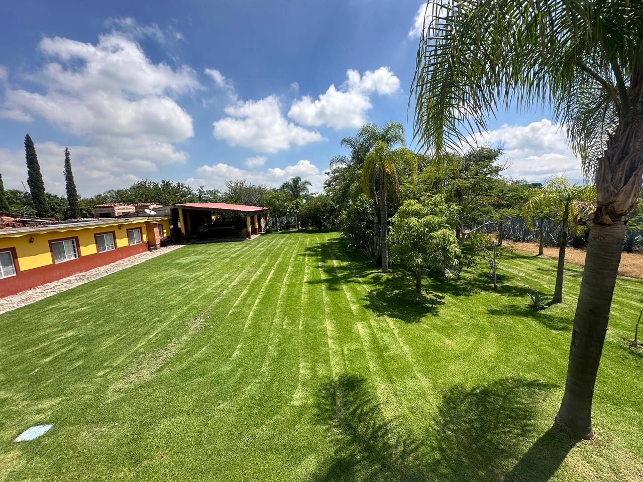 Terreno en venta Ixtlahuacán de los Membrillos en BUENAVISTA, Ixtlahuacán de los Membrillos - foto 4 de 9