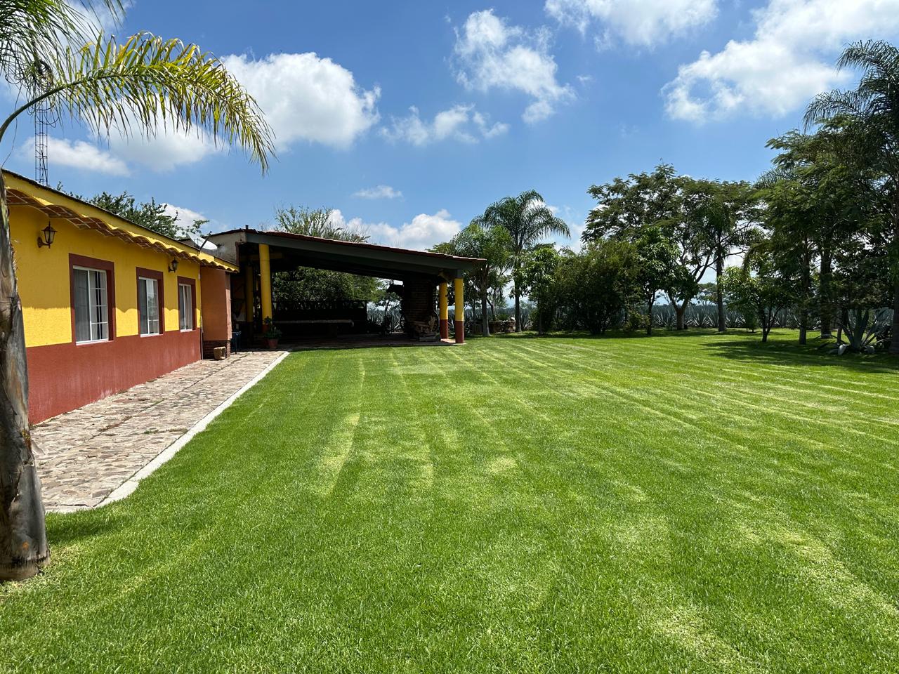 Terreno en venta Ixtlahuacán de los Membrillos en BUENAVISTA, Ixtlahuacán de los Membrillos - foto 7 de 9