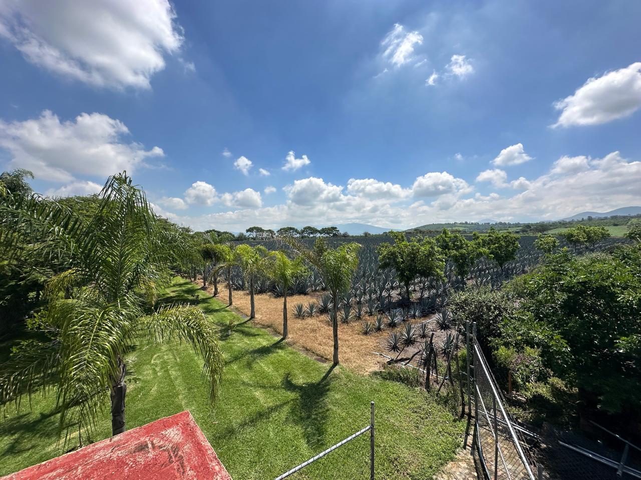 Terreno en venta Ixtlahuacán de los Membrillos en BUENAVISTA, Ixtlahuacán de los Membrillos - foto 3 de 9