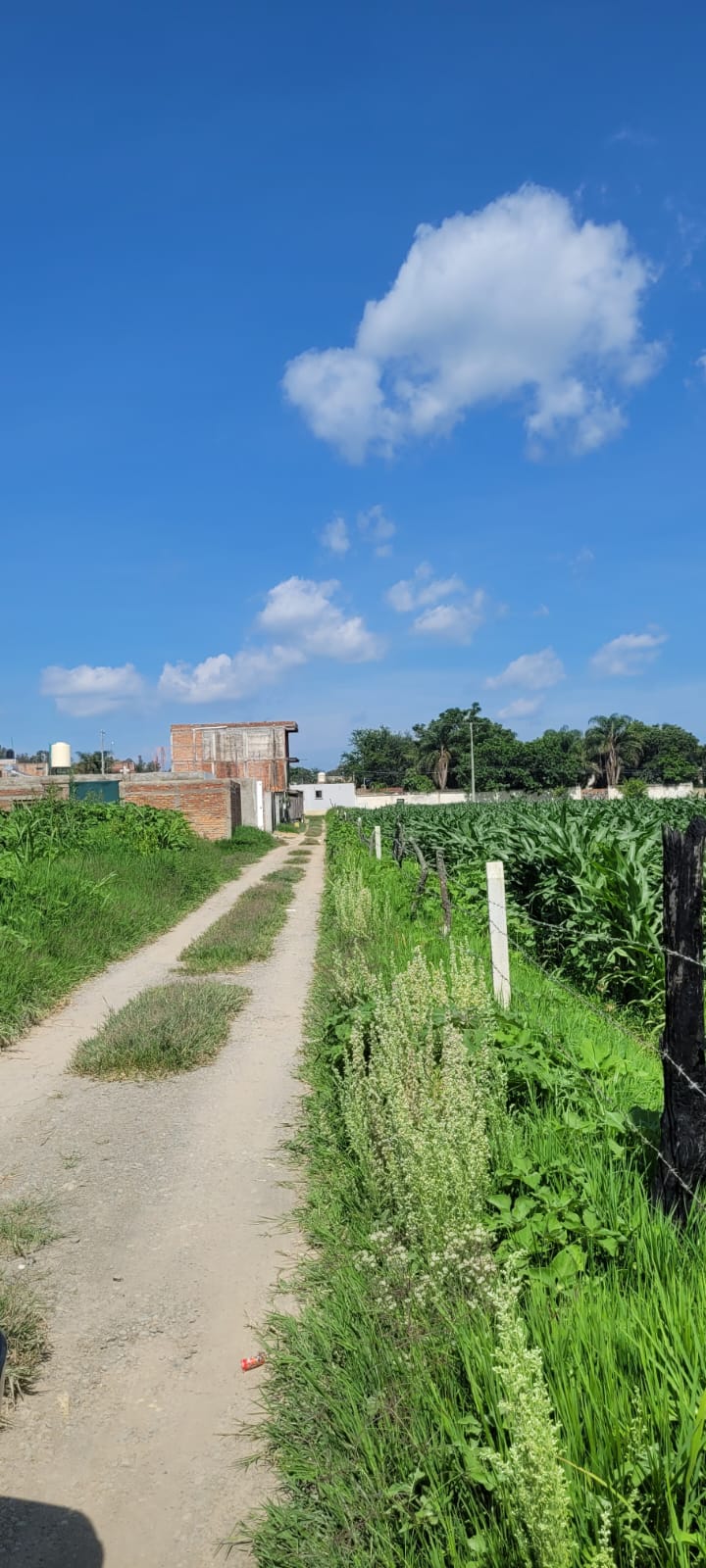 Terreno en Venta  en SANTA LUCIA, Zapopan - foto 4 de 19