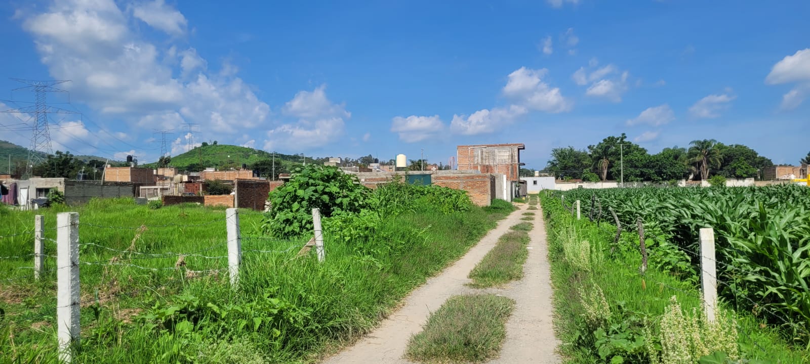 Terreno en Venta  en SANTA LUCIA, Zapopan - foto 5 de 19