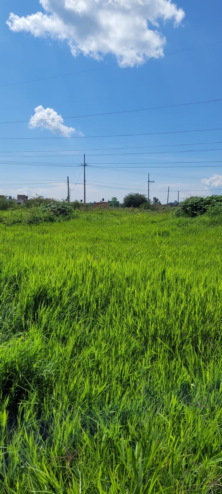 Terreno en Venta  en SANTA LUCIA, Zapopan - foto 13 de 19