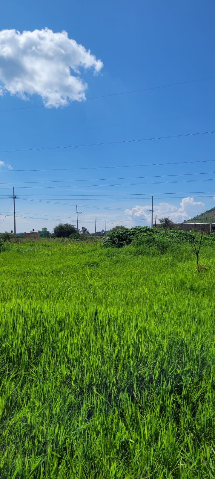 Terreno en Venta  en SANTA LUCIA, Zapopan - foto 16 de 19
