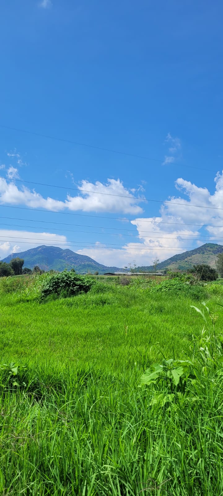 Terreno en Venta  en SANTA LUCIA, Zapopan - foto 12 de 19