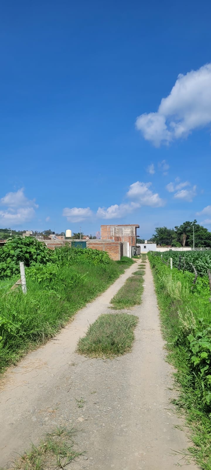Terreno en Venta  en SANTA LUCIA, Zapopan - foto 3 de 19